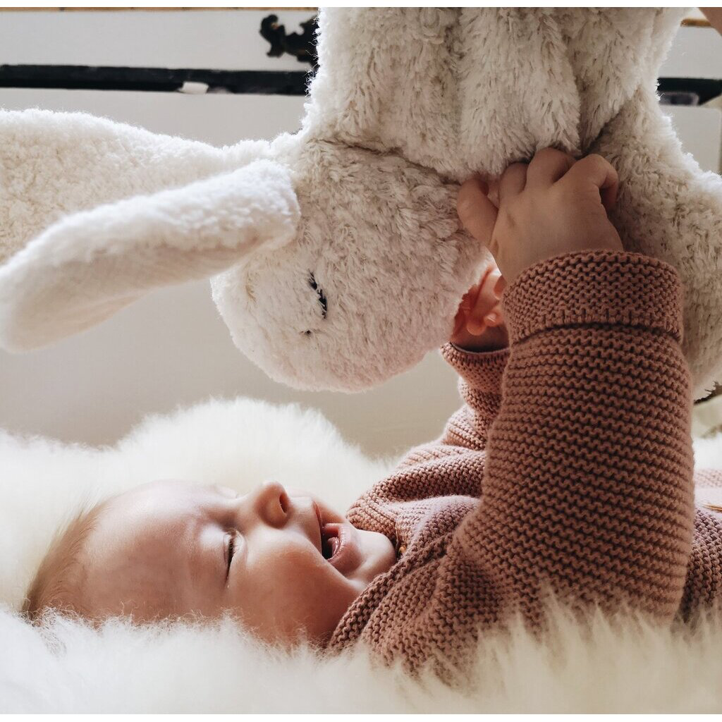 Hase klein