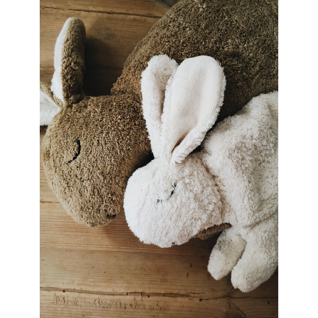 Hase klein