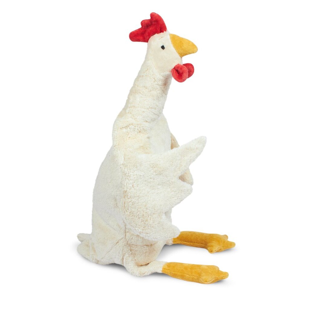Huhn groß