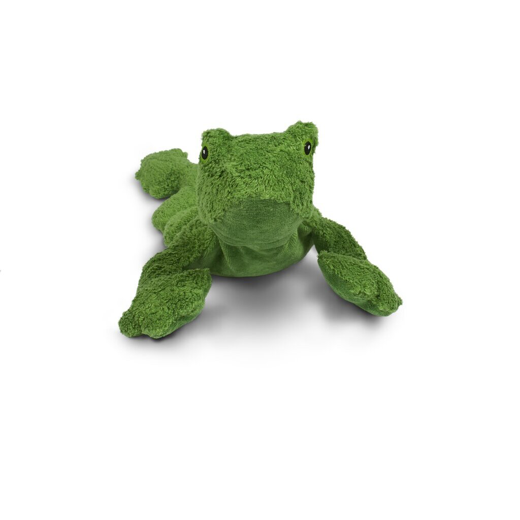 Frosch klein