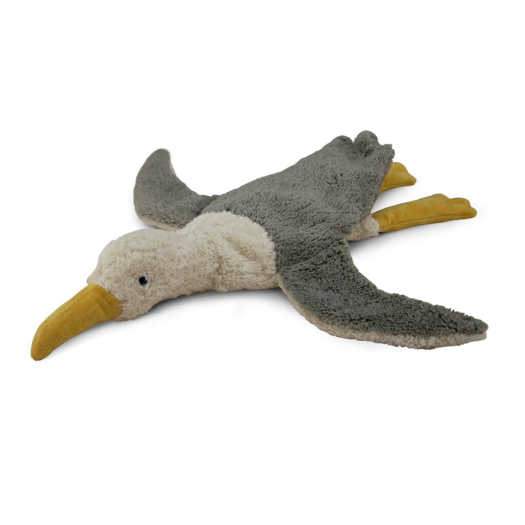 Möwe klein