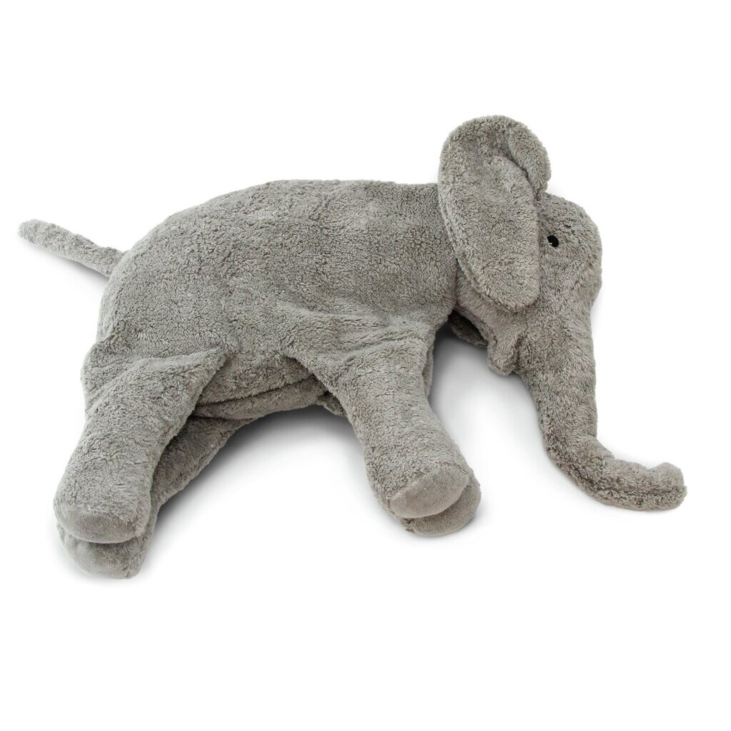 Elefant groß