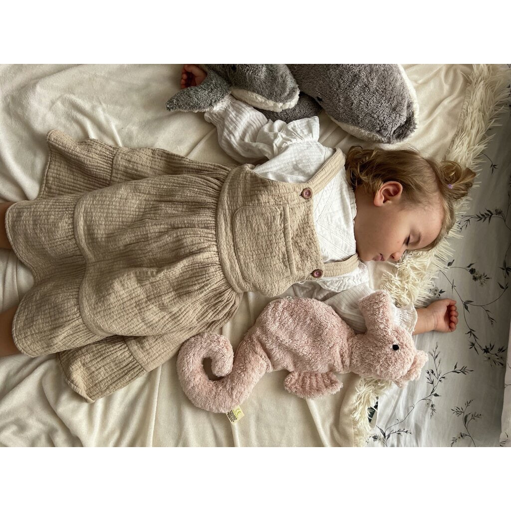 Seepferdchen klein