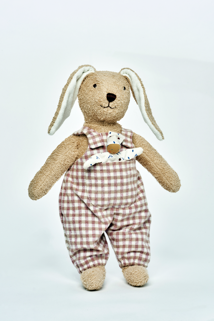 Hugo Hase
