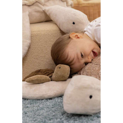 Schildkröte klein/ braun