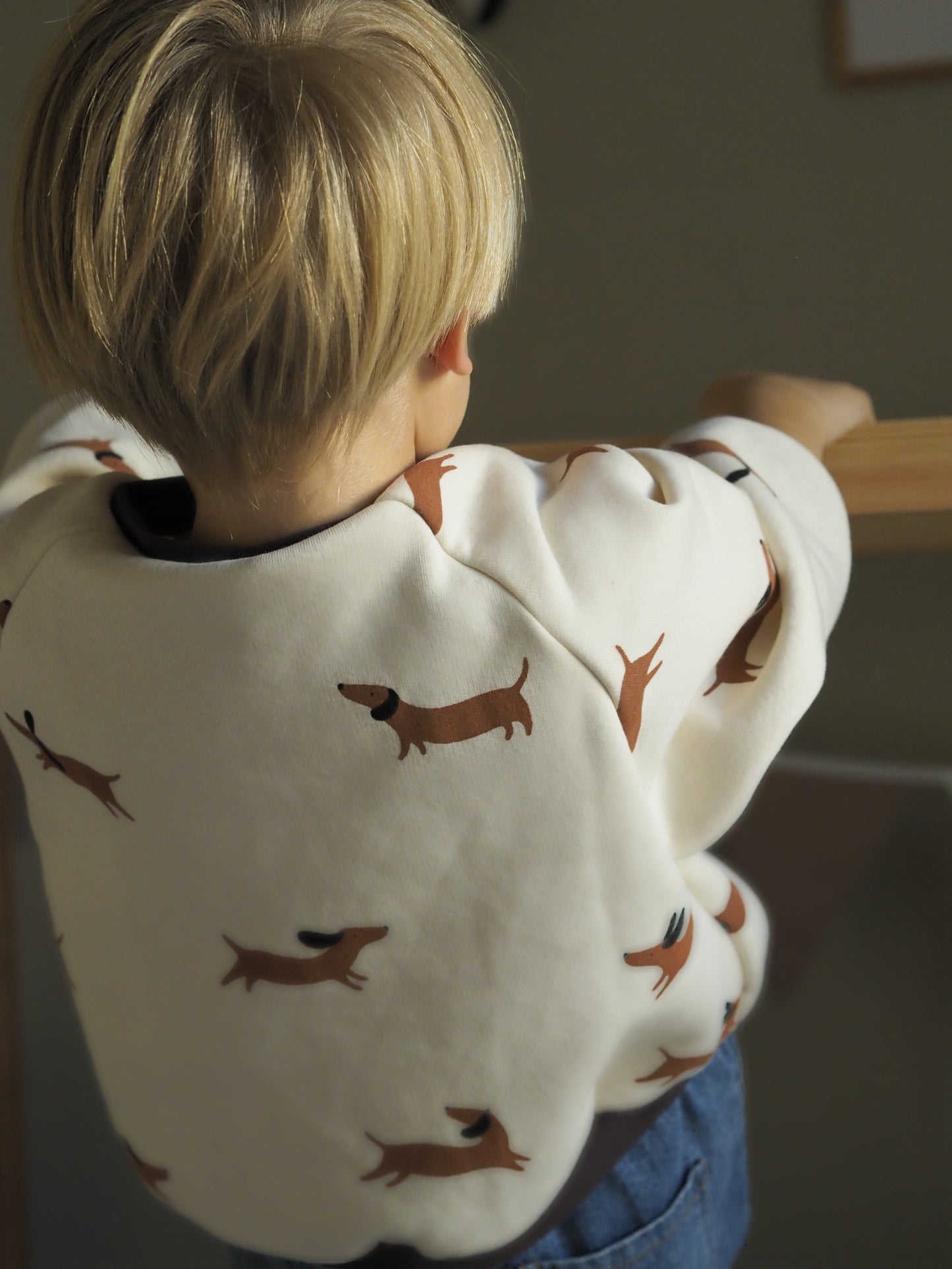 Sweater Dackelfreunde