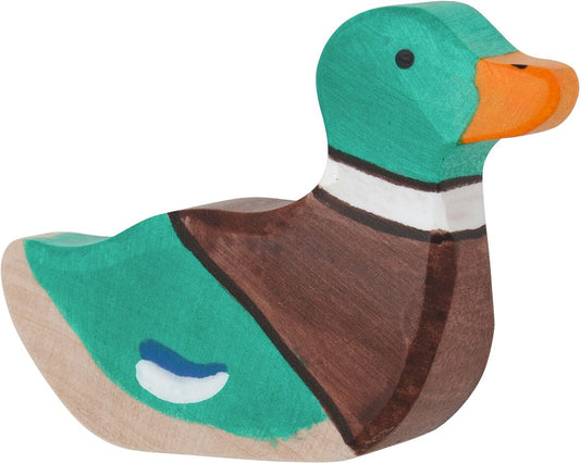 Erpel, schwimmend