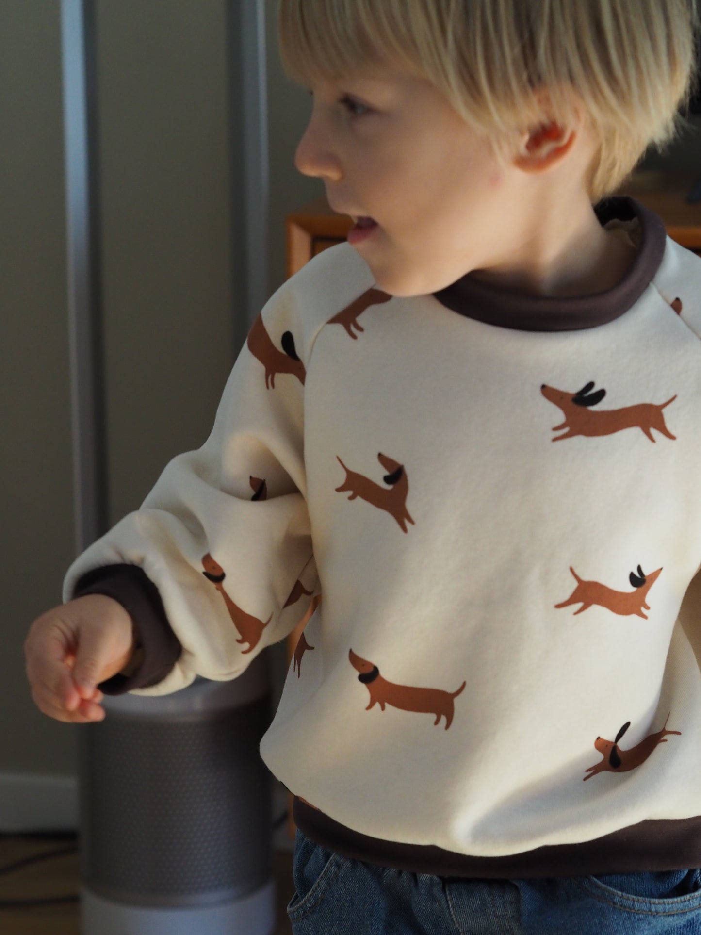 Sweater Dackelfreunde