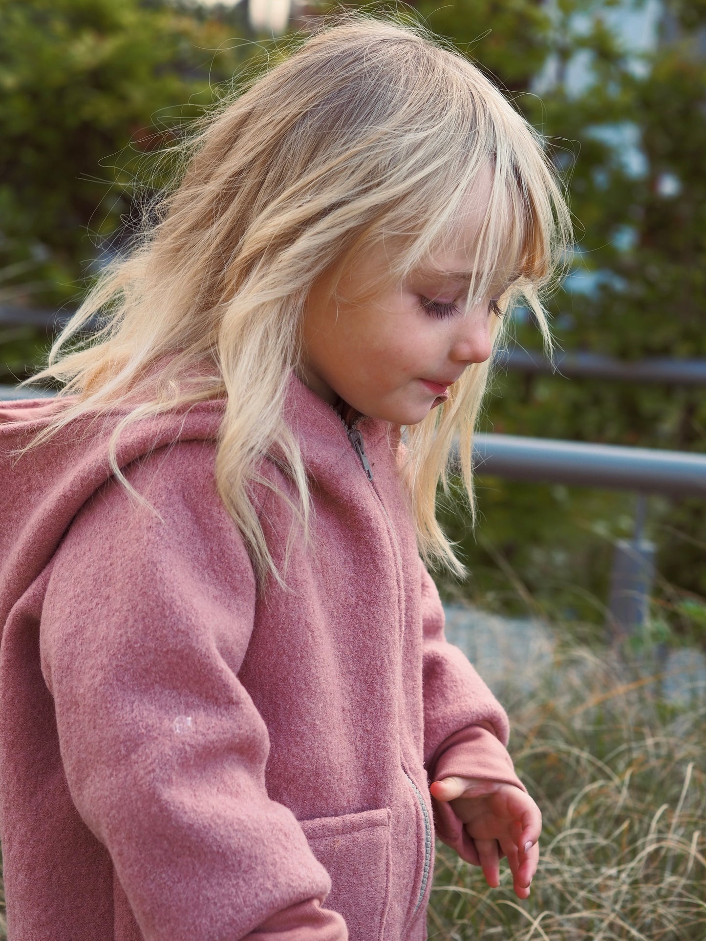 Walkmantel Hagebutte