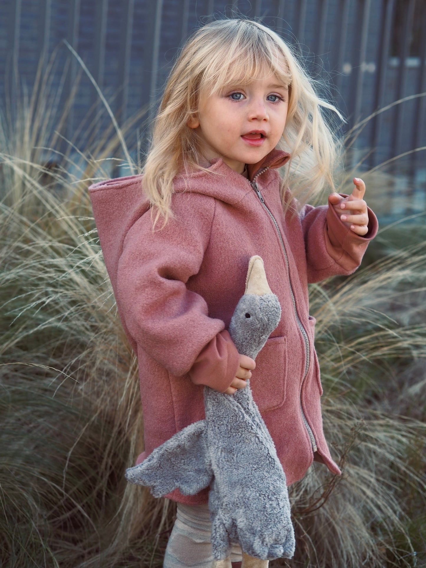 Walkmantel Hagebutte