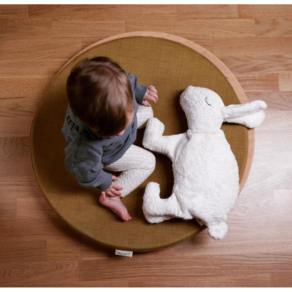 Hase groß
