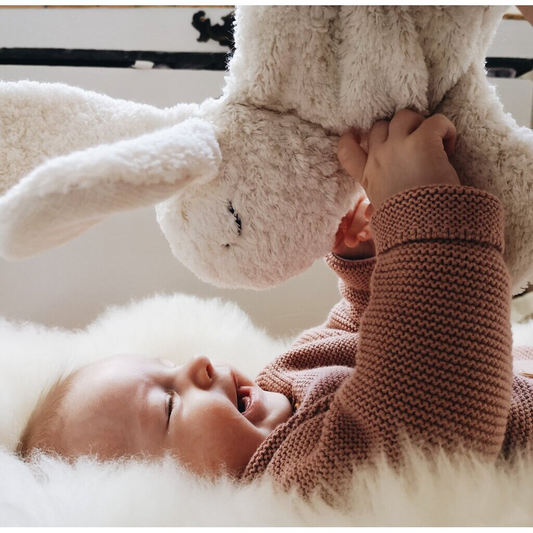 Hase klein