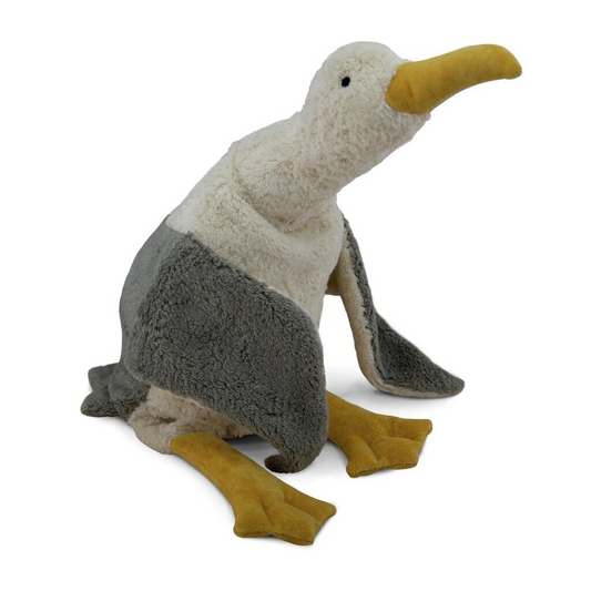 Möwe groß