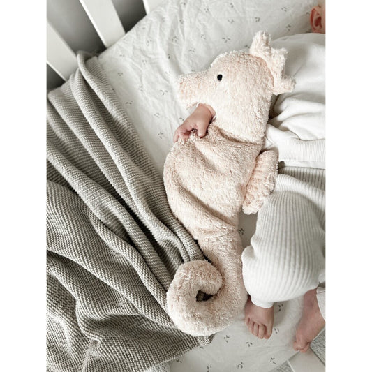 Seepferdchen  klein