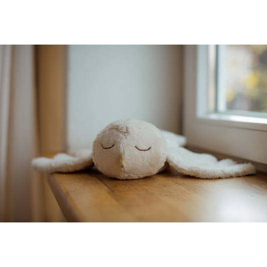 Schneeeule