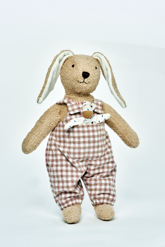 Hugo Hase